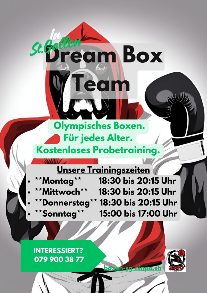 Dream Box Team NInpo SG Flyera5dream Boxteam(151 X 213 Mm) Cmyk