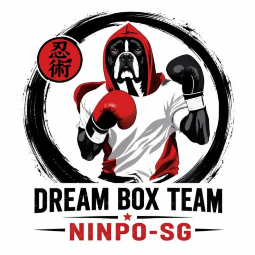 LogoDreamBoxTeam2026