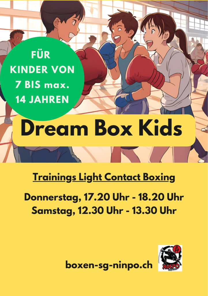 Dream Box Team NInpo SG Webflyerboxenkids
