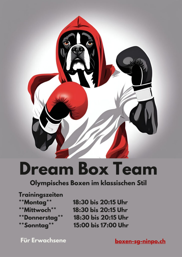 FlyerA5Dream BoxTeam(151 x 213 mm) cmyk